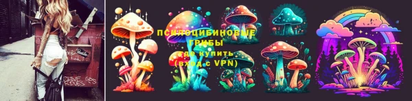 гидропоника Арсеньев