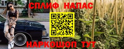 СК Новодвинск