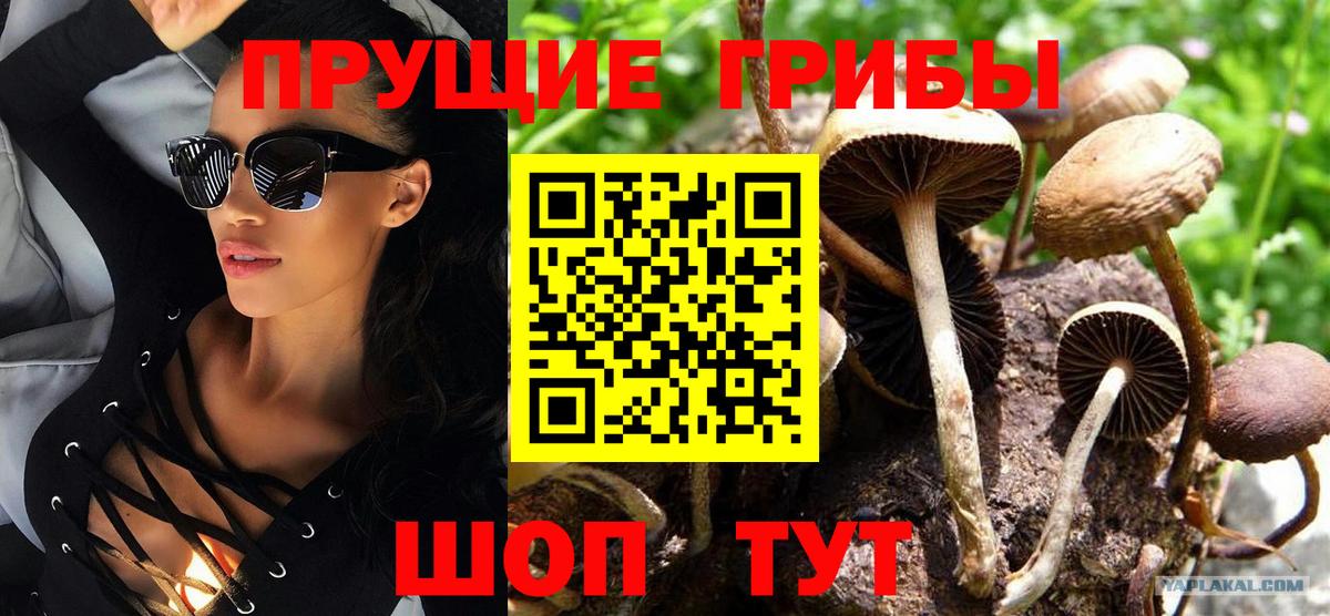 как найти закладки  Вход с VPN  Мурманск  Галлюциногенные грибы Cubensis 