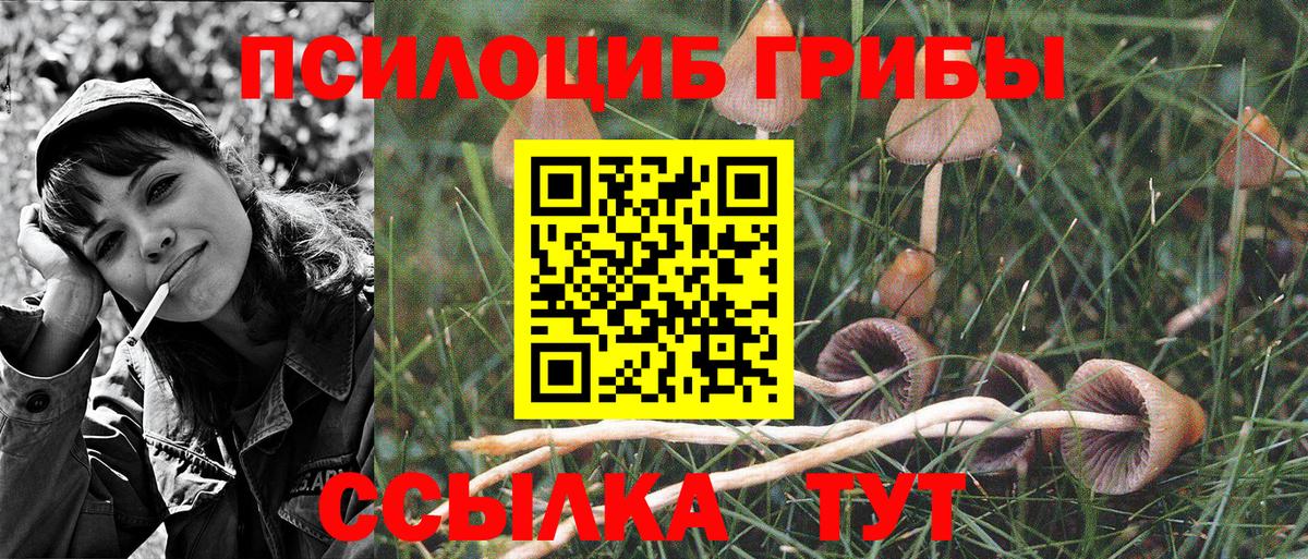 Псилоцибиновые грибы ЛСД Мурманск